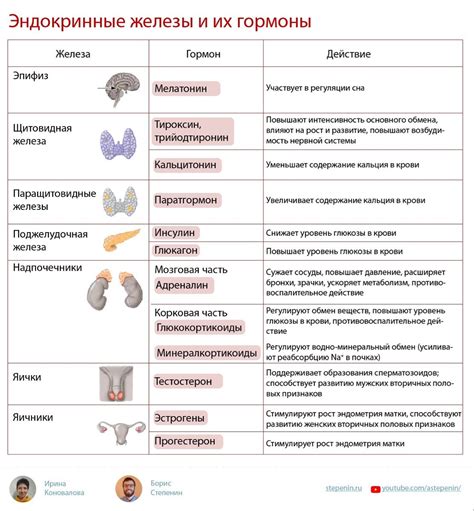 Основные элементы радарной системы и их функции