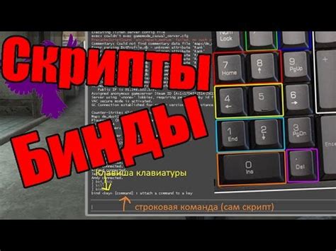 Основы использования bind в CS:GO