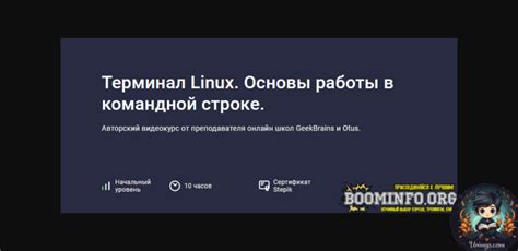 Основы работы в командной строке Linux