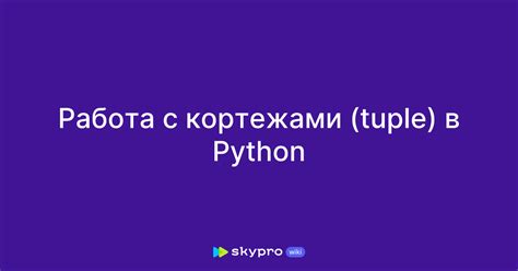 Основы работы с кортежами в Python и их функциональность