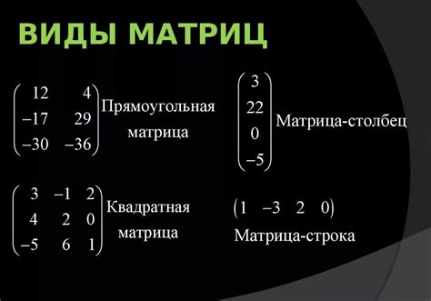 Основы ранга матрицы и его значимость в линейной алгебре