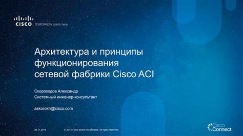 Основы функционирования сетевой коммерции: ключевые концепции и принципы