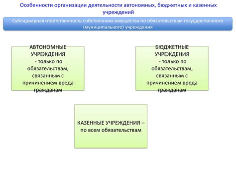 Основы функционирования системы