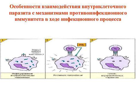 Особенности взаимодействия с механизмами: активация и деактивация