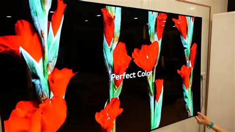 Особенности визуализации на телевизоре Oled