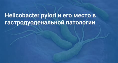 Особенности и география распространения микроорганизма Helicobacter pylori и его компонентов