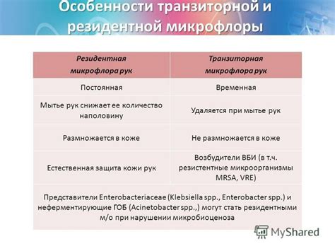 Особенности и диагностика транзиторной микрофлоры