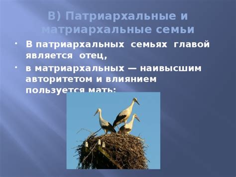 Особенности ответного слова в патриархальных культурах