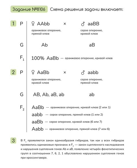 Особенности работы с линолеумом, имеющим печать и рисунок