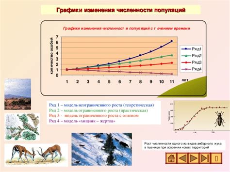 Особенности развития и роста малышей двух видов африканских животных и одного виде пастбищного: