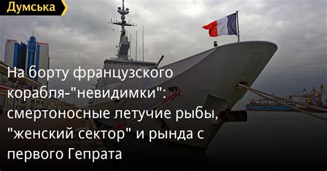 Особенности улова рыбы на борту культового корабля: выбор и применение оптимального прикорма