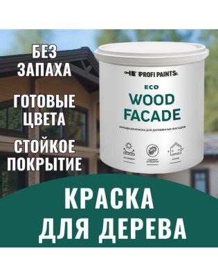 Особенности ухода за поверхностями из дерева в подвале для предотвращения возникновения грибка