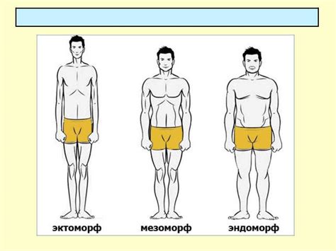 Особенности физических характеристик мезоморфа