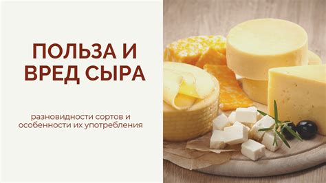 Особенности хранения и употребления сыра с голубым налетом