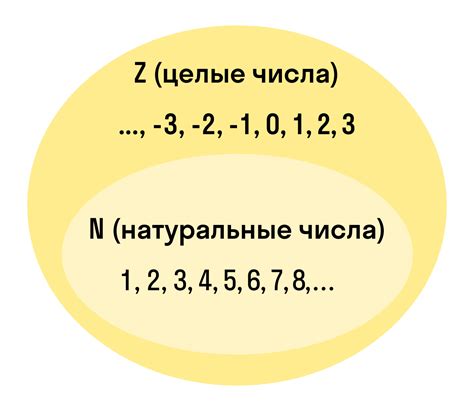 Особенности целых чисел и натуральных чисел