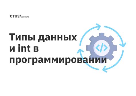 Особенности числовых типов данных в программировании