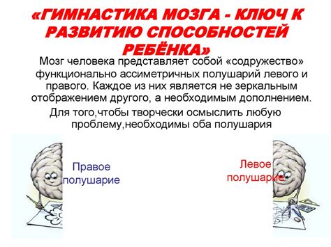 Осознание работы двух половинок мозга: ключ к гармоничному функционированию