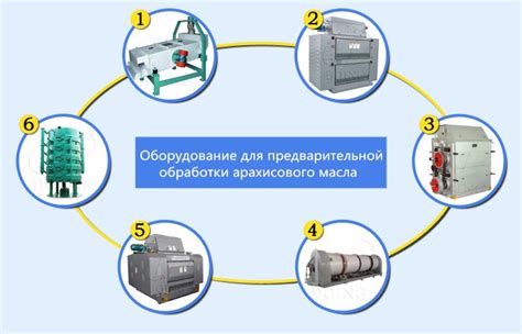 Осуществление предварительной обработки мяты перед сбором
