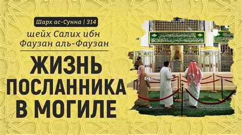 Осыпание стен и холодные смены: жизнь станционного посланника