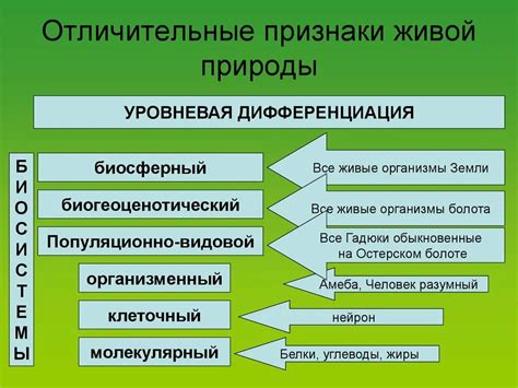 Отличительные черты исследования природы сущности: указатели и способы анализа