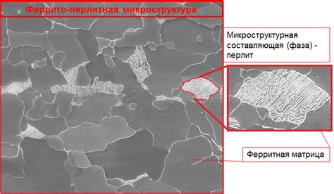 Отображение микроструктуры образца с помощью овоскопа: визуальное представление мелких деталей