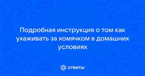 Оформление хомячка: подробная инструкция