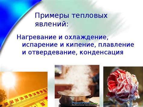 Охлаждение и отвердевание кулинарных творений