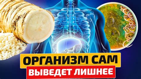 Очищение организма от токсинов с помощью метода задержки выдоха