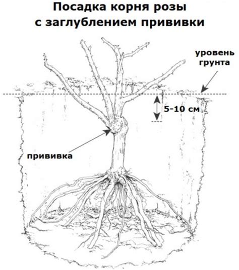 Ошибка в посадке