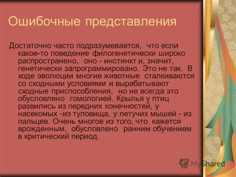 Ошибочные представления об исключительной важности внешних атрибутов