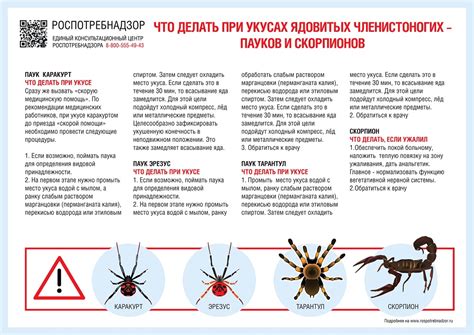 Ощущения и признаки, сообщаемые сновидением о страшных зминых укусах и крови