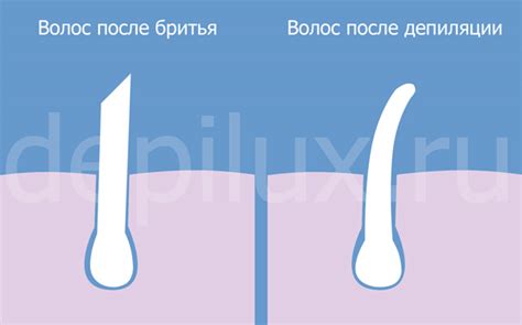 Памятка о безопасном удалении остатков волос после процедуры бритья