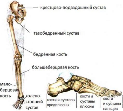 Патологическое сужение промежуточных суставов