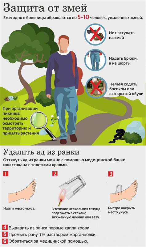 Первая помощь при укусе на шее