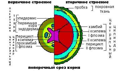 Первичное и вторичное преобразование сигнала