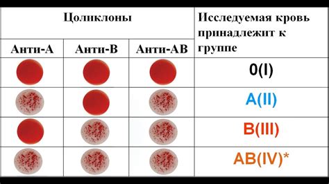 Перевеcтигация методов: плюсы и минусы в анализе группы крови