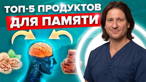 Питание для укрепления мозга: правила регулярного употребления полезных продуктов
