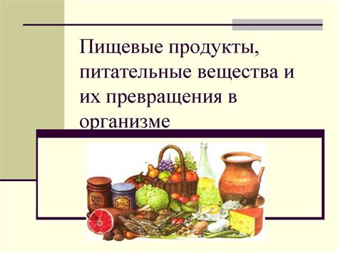 Питательные продукты: выбор и приготовление