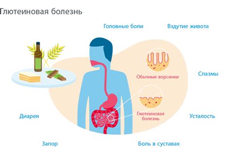 Пищеварение у взрослых: причины, симптомы и методы решения проблемы