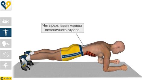 Планка: эффективное средство укрепления силы мышц и снижения окружности талии