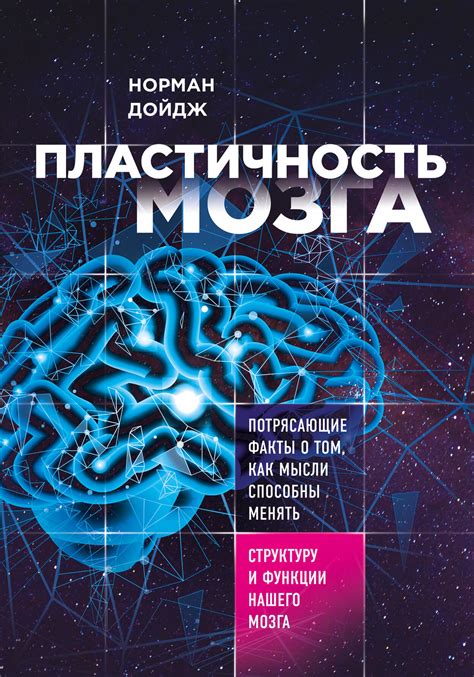 Пластичность мозга и его способность к изменениям: ключ к саморазвитию