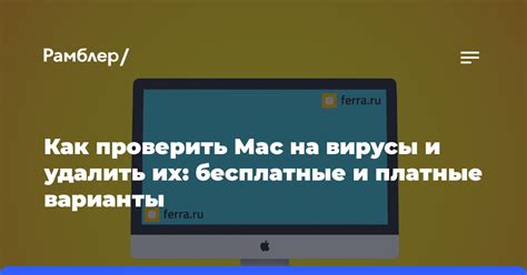 Платные и бесплатные варианты инжекторов и их особенности