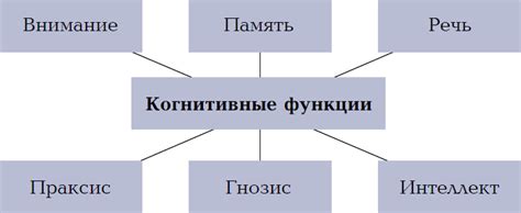 Повышение когнитивных функций и оберег мозг от старения