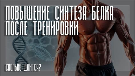 Повышение синтеза мышц: оптимизация и результаты