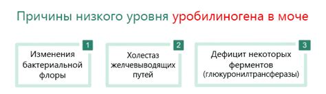 Повышенное содержание уробилиногена: причины, вызывающие данное явление