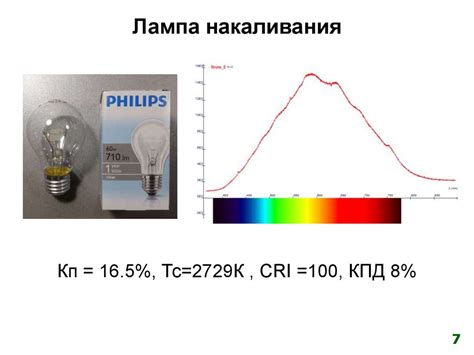 Подбор оптимального источника освещения для глаз работы светящихся деталей ушей зайца