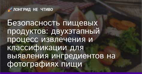 Подготовка ингредиентов: процесс обработки и подготовки продуктов