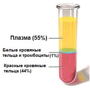 Подготовка к обследованию плазмы крови и процедурный порядок
