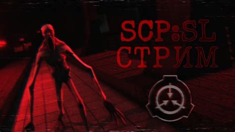 Подготовка окружения и настройка необходимых программ для развертывания SCP SL сервера