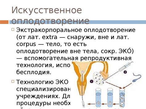 Подготовка организма женщины к искусственной репродукции: важность предварительных процедур